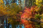 Morning Glow Photograph by Jonathan Nguyen Morning Glow Photograph by Jonathan Nguyen
