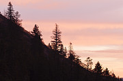 Morning Has Broken Photograph by Laura Tucker