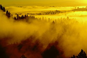 Morning Rays Arrive Photograph by Ben Upham III