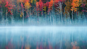 Morning Reflection Photograph by John Fan