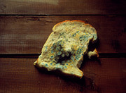 Mouldy Bread Photograph by Science Photo Library