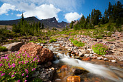 Mountain Runoff Photograph by Andrew Kumler