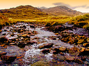 Mountain Stream Photograph by Mark Egerton