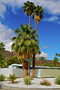 Mountains, Plants & Mid-century Home In Photograph by Jaylazarin