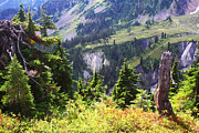 Mt. Baker Washington Photograph by Tom Janca