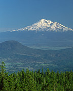 1A5637-Mt. Shasta from Oregon Photograph by Ed  Cooper Photography