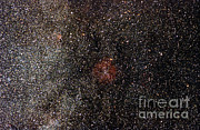 Mu Cephei And Ic1396 Nebula Region Photograph by John Chumack