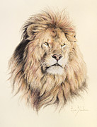 Mufasa Drawing by Lucie Bilodeau