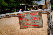 Mule Sign Photograph by Tracy Smith