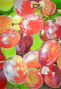 Multi Coloured Grapes Drawing by Yvonne Johnstone