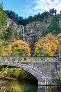 Multnomah Falls 5 Photograph by David Hart Multnomah Falls 5 Photograph by David Hart