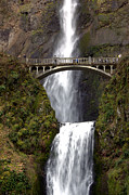 Multnomah Falls Photograph by Alexander Fedin