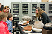 Museum Archaeology Display Photograph by Science Photo Library