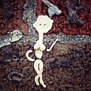 My Gum Lady On The Gum Wall Photograph by Natasha Marco