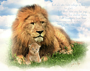My Refuge Photograph by Jennifer Page