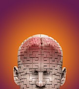 Mysteries Of The Mind Photograph by Science Photo Library