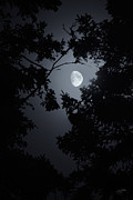 Mystic Photograph by Doug Gibbons