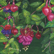 Nancy's Fuchsias Painting by Linda Feinberg