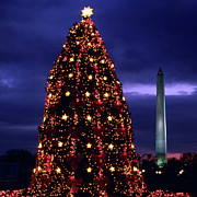 National Christmas Tree By The White Photograph by Hisham Ibrahim
