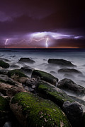 Nature's splendor Photograph by Jorge Maia