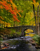 Natures Way Photograph by Susan Candelario Natures Way Photograph by Susan Candelario