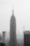 Nearsighted Photograph by Frank Mari