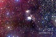 Nebulae Photograph by John Chumack