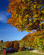 New England Autumn Photograph by Rafael Macia
