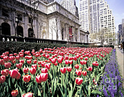 New York City Public Library Photograph by Rafael Macia