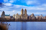 New York City Skyline from Central Park Photograph by Mel Ashar