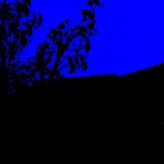 Night Trees Painting by James Daugherty