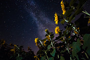 Night Watchmen Photograph by Bryan Bzdula