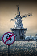 No Tilting at Windmills Photograph by Randall Nyhof