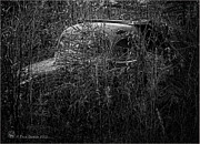 Nobody's Truck Photograph by Fred Denner