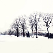 Noir & Blanc
(#instagoodnextvip For Photograph by Natasha Marco