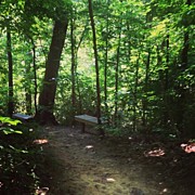 North Georgia Hike Photograph by Daniel Eskridge