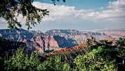 North Rim Photograph by Stacy Abbott