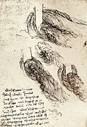 Notes By Leonardo Da Vinci Photograph by Science Photo Library