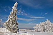 Nothing But Blue Skies Photograph by Lois Bryan
