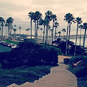 Nothing But Waves And Palm Trees Photograph by Patsy Ramsahai