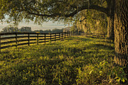 Ocala Fence Photograph by Dan McGeorge