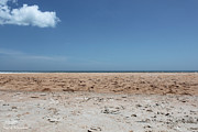 Ocean Horizon Photograph by Todd Blanchard