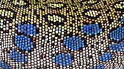 Ocellated Lizard Skin Pattern Photograph by Science Photo Library
