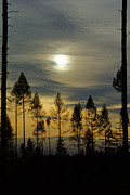 October Sky Photograph by Loni Collins