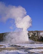 Old Faithful Photograph by Science Photo Library