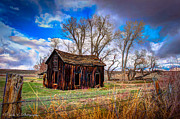 Old Old House 3 Photograph by Carla E