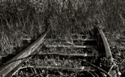 Old Rails Photograph by Ron Roberts