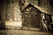 Old wooden shed Yosemite Photograph by Jane Rix