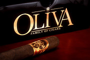Oliva Cigar Still Life Photograph by Tom Mc Nemar