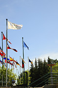 Olympic Flags Photograph by Brenda Kean